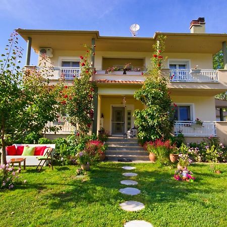 Angel Villa - Thassos Town מראה חיצוני תמונה
