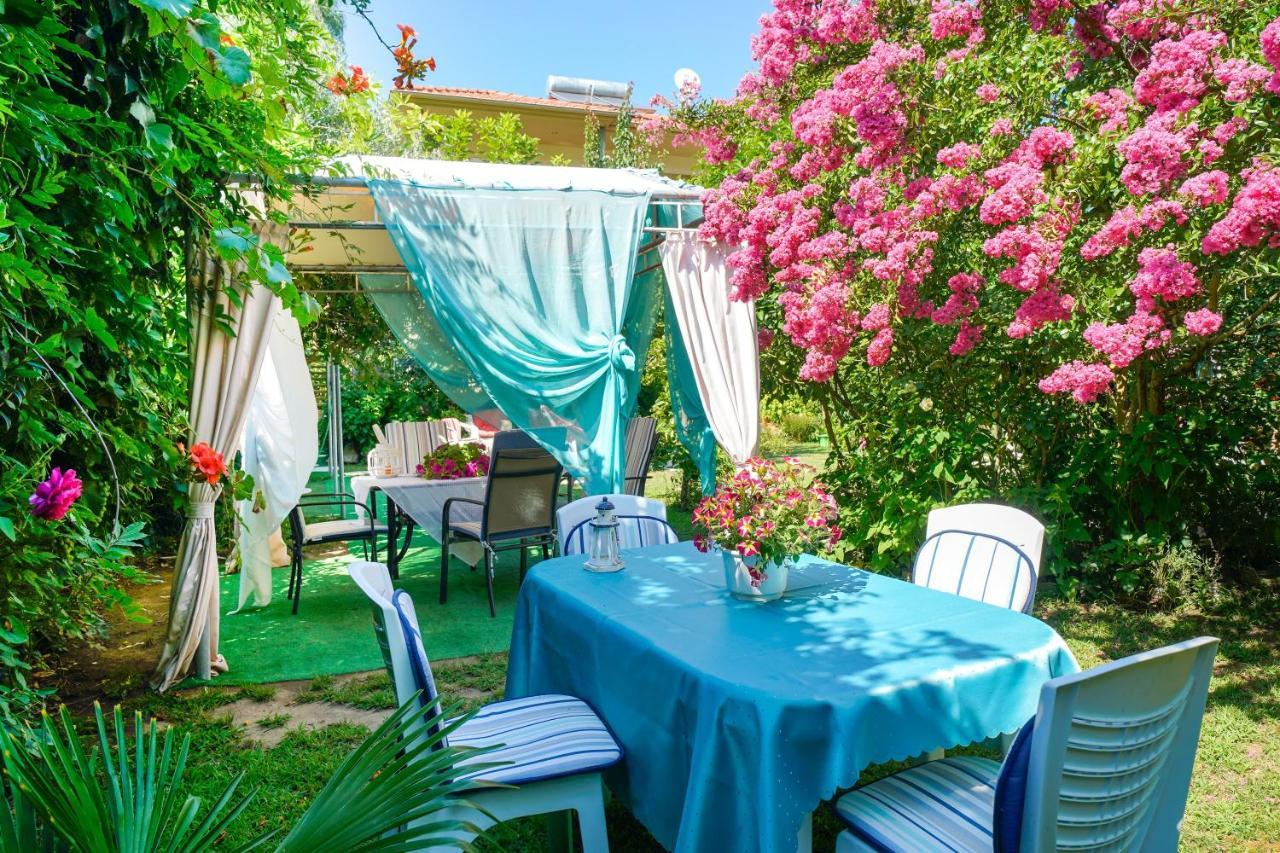Angel Villa - Thassos Town מראה חיצוני תמונה